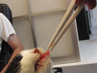 c0201113_21135636.jpg