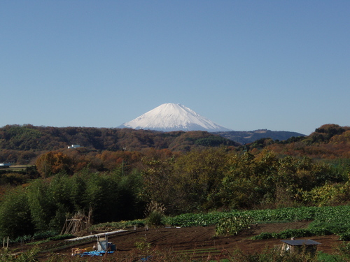 b0121015_16294074.jpg