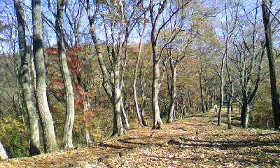d0024220_17123156.jpg