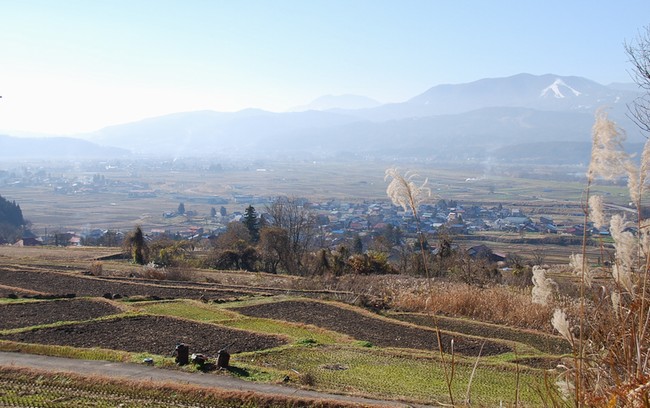 c0013922_22421445.jpg