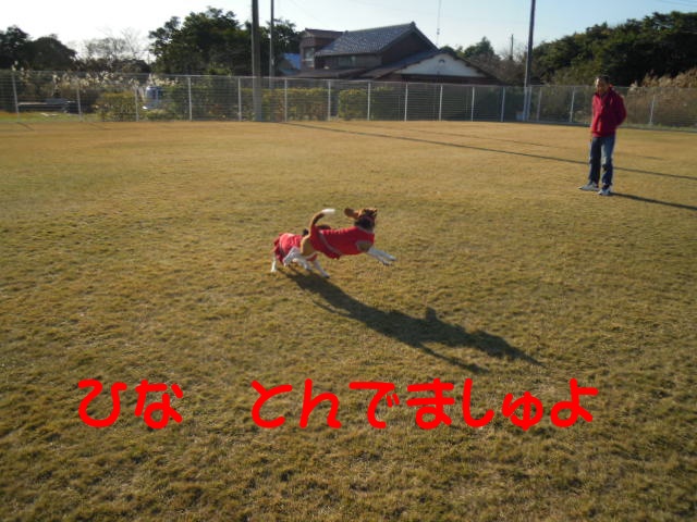 c0166622_173631.jpg