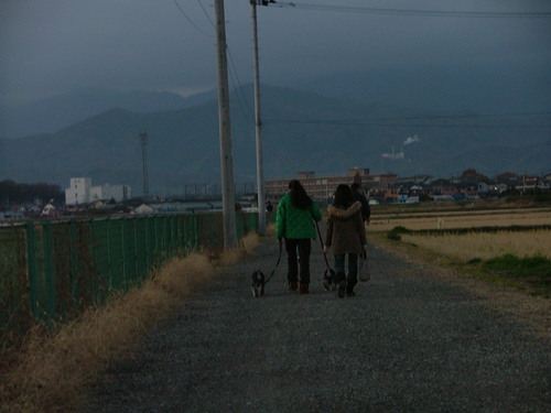 b0209623_17383939.jpg