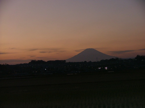 b0209623_1747434.jpg