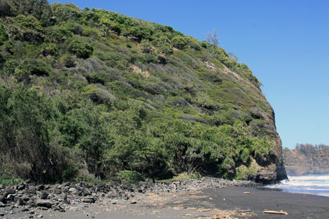 f0137324_1742380.jpg
