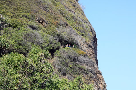 f0137324_1755335.jpg