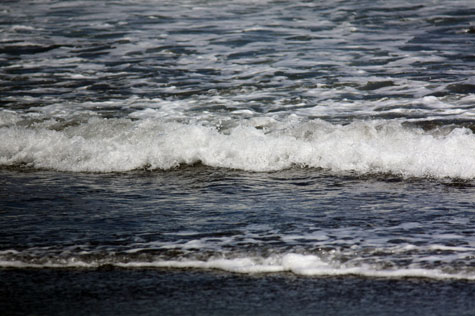 f0137324_1781939.jpg