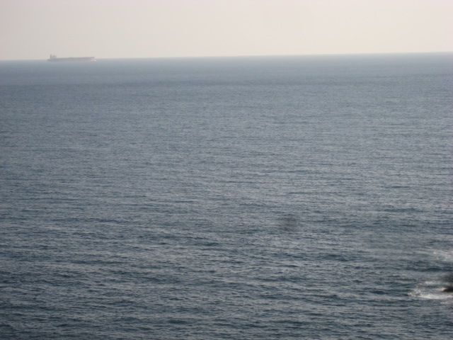 d0147727_17123516.jpg