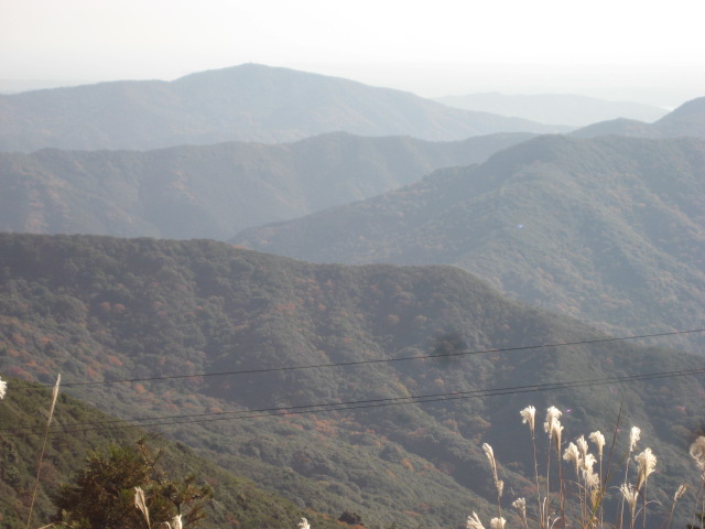d0147727_1765356.jpg