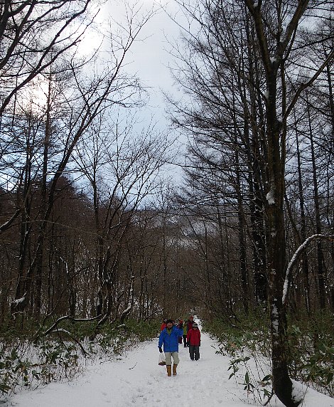 f0118332_17455169.jpg