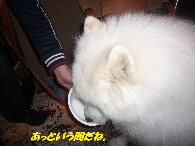 e0196135_21544139.jpg