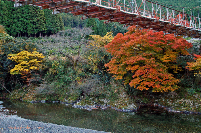 e0083238_211366.jpg