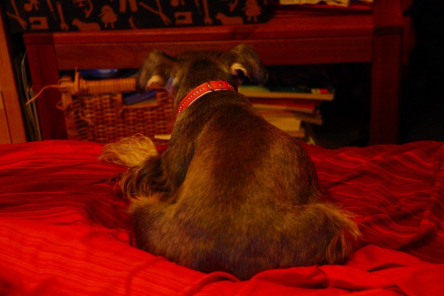 c0153740_1315712.jpg