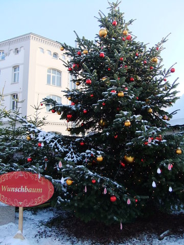 f0210340_4462110.jpg
