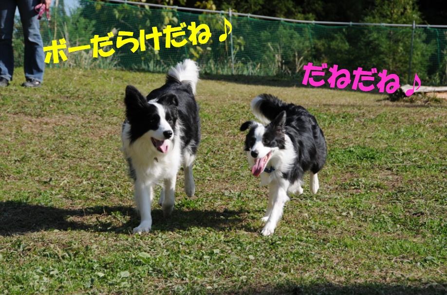 c0147241_212929100.jpg
