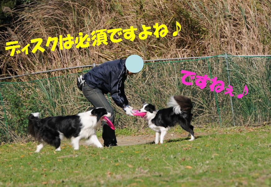 c0147241_21293815.jpg