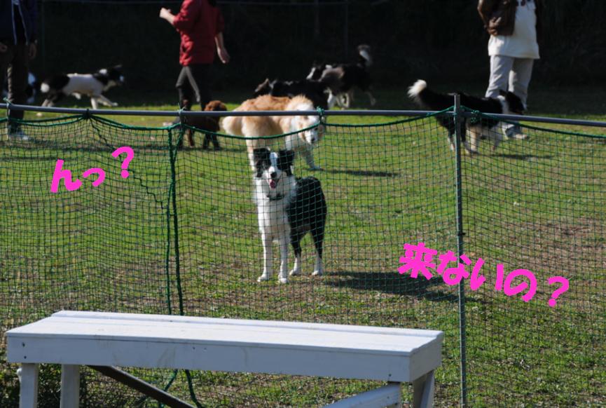 c0147241_2129481.jpg