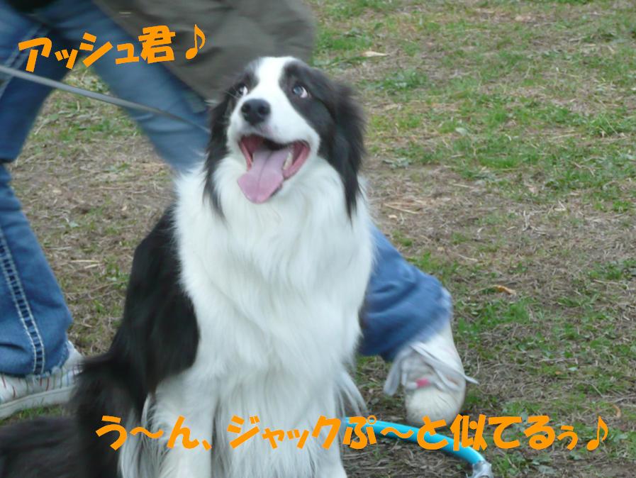 c0147241_21295537.jpg