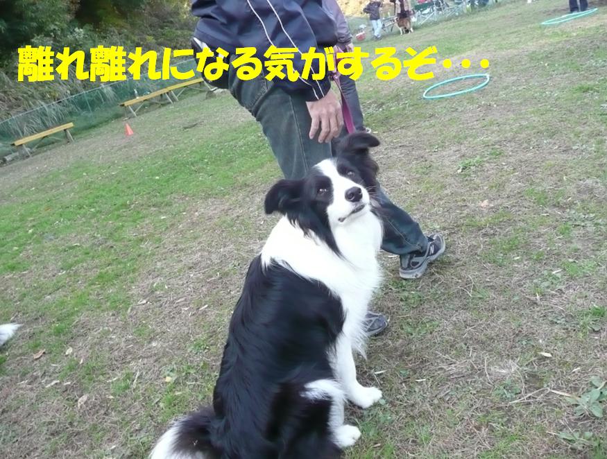 c0147241_21301482.jpg