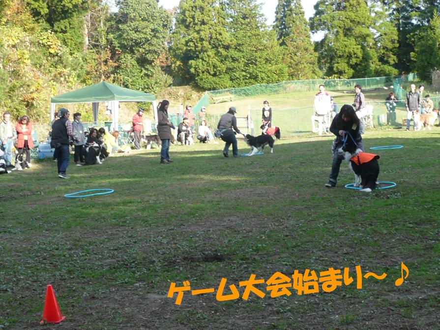 c0147241_21303192.jpg