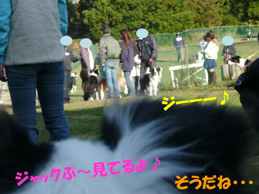 c0147241_21305437.jpg