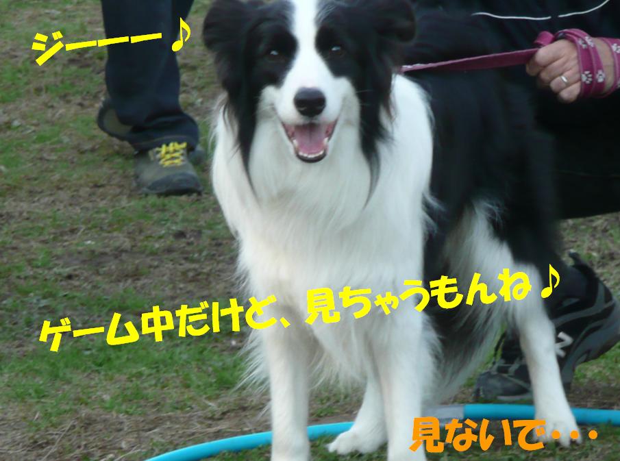 c0147241_2131122.jpg