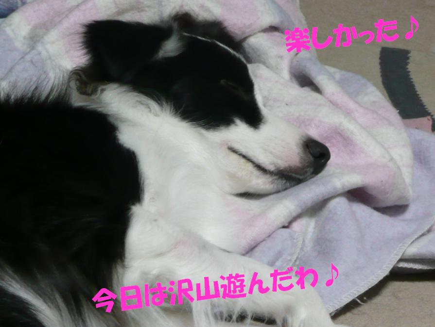 c0147241_21313690.jpg