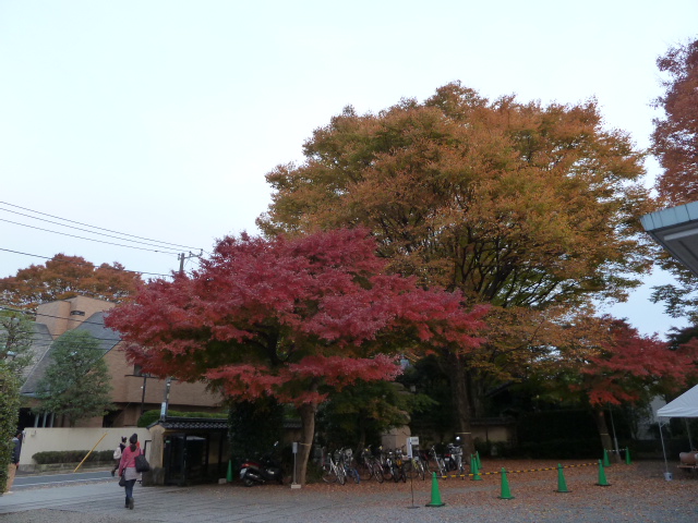 b0190242_21524093.jpg
