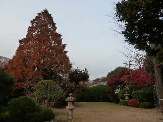 b0190242_2155891.jpg