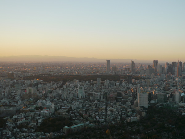 b0190242_225424.jpg