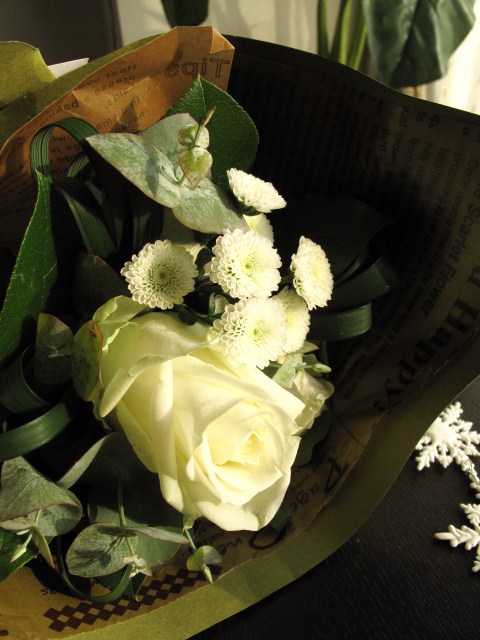 d0097144_1242291.jpg