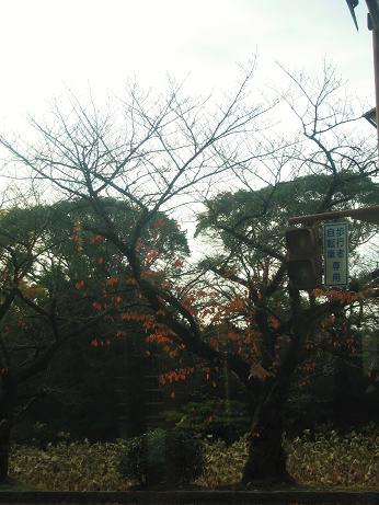 b0028845_22255194.jpg