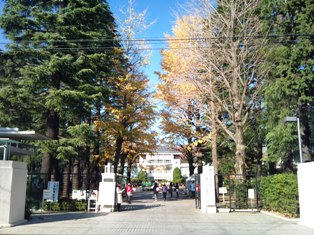 f0138645_23131150.jpg