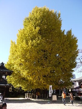 a0163248_20555721.jpg