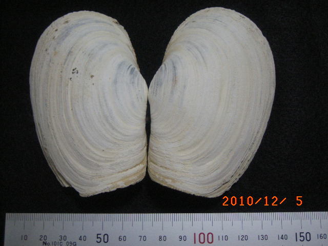 a0157451_1856455.jpg