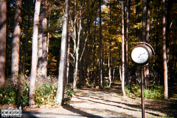 f0013652_22391382.jpg