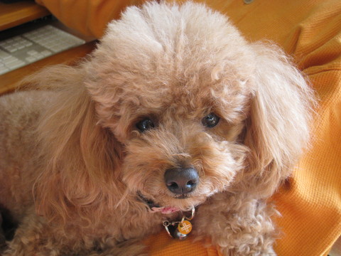 f0233356_18123032.jpg