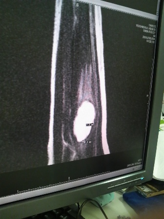 e0103957_913045.jpg