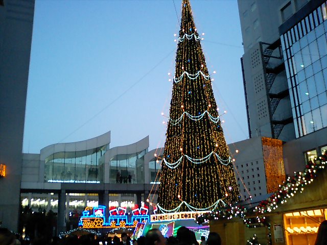d0076760_134146.jpg