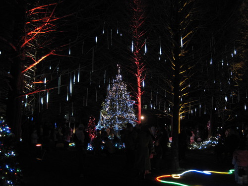 f0236260_021698.jpg