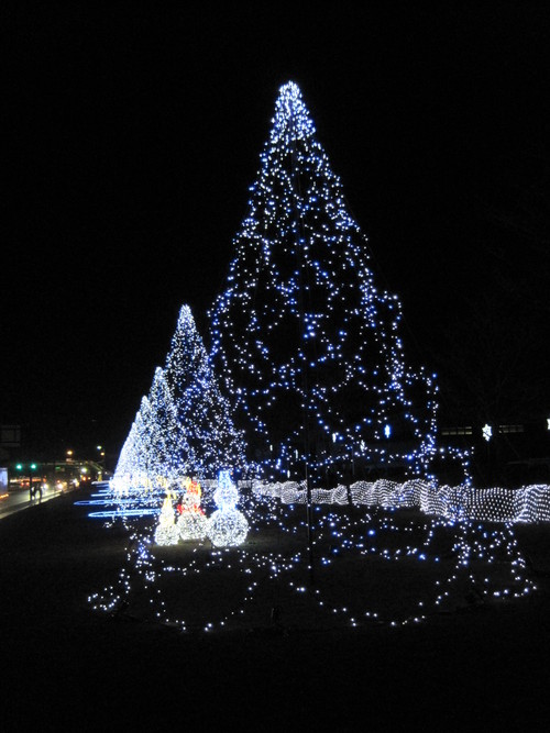 f0236260_058123.jpg