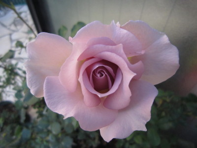 c0202870_22592318.jpg