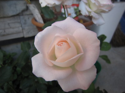 c0202870_23105130.jpg