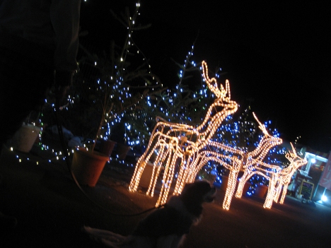 f0175875_22323710.jpg