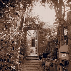 b0086476_13404619.jpg