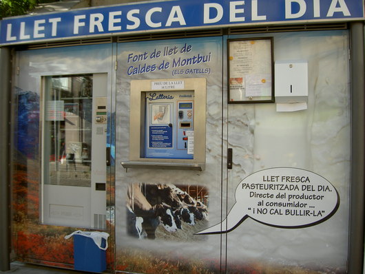 e0205478_1353995.jpg