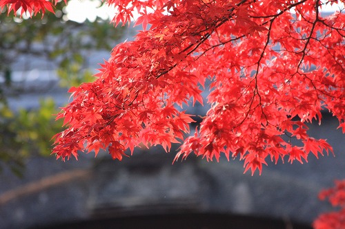 b0003280_2159570.jpg