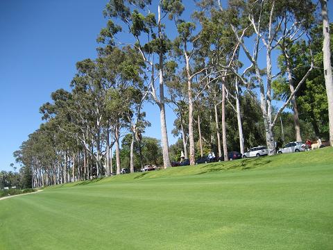 e0126680_1954426.jpg