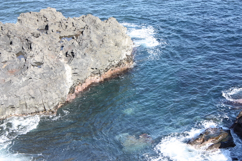 c0204385_18532255.jpg