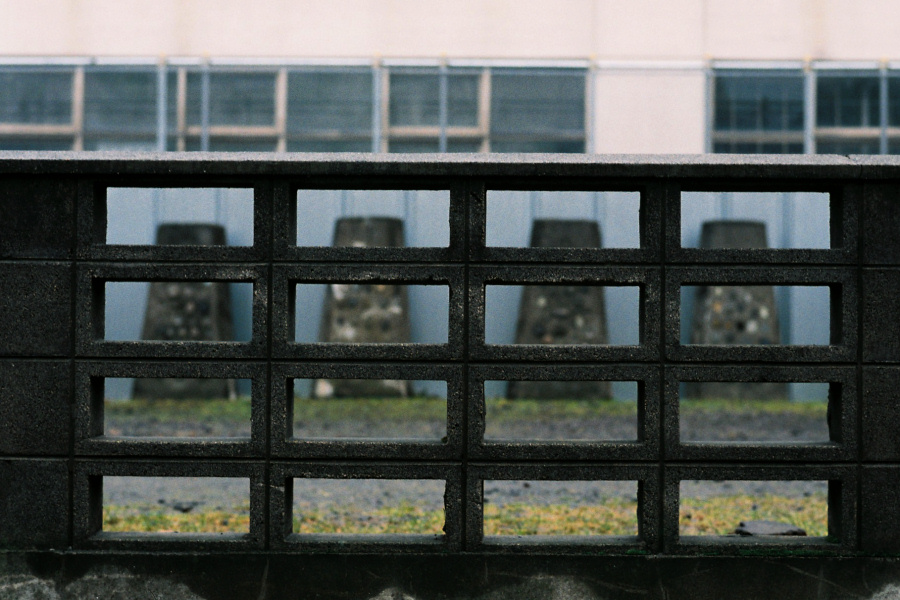 e0051186_922445.jpg