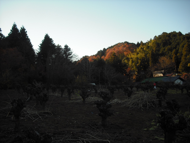 e0133087_13182887.jpg